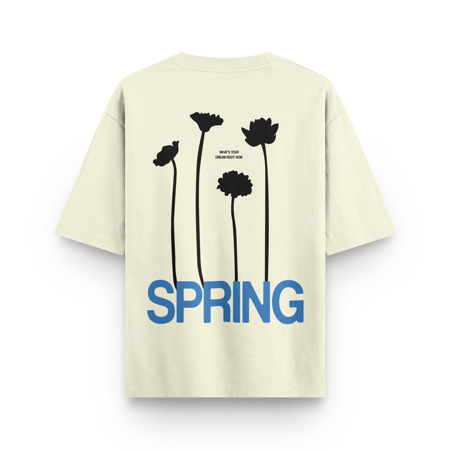 Spring Oversized Tshirt