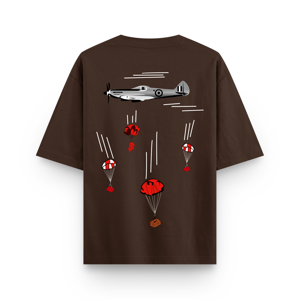 Aircraft Parachute