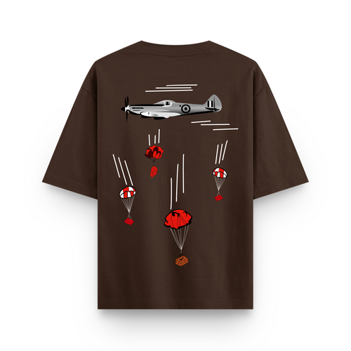 Aircraft Parachute
