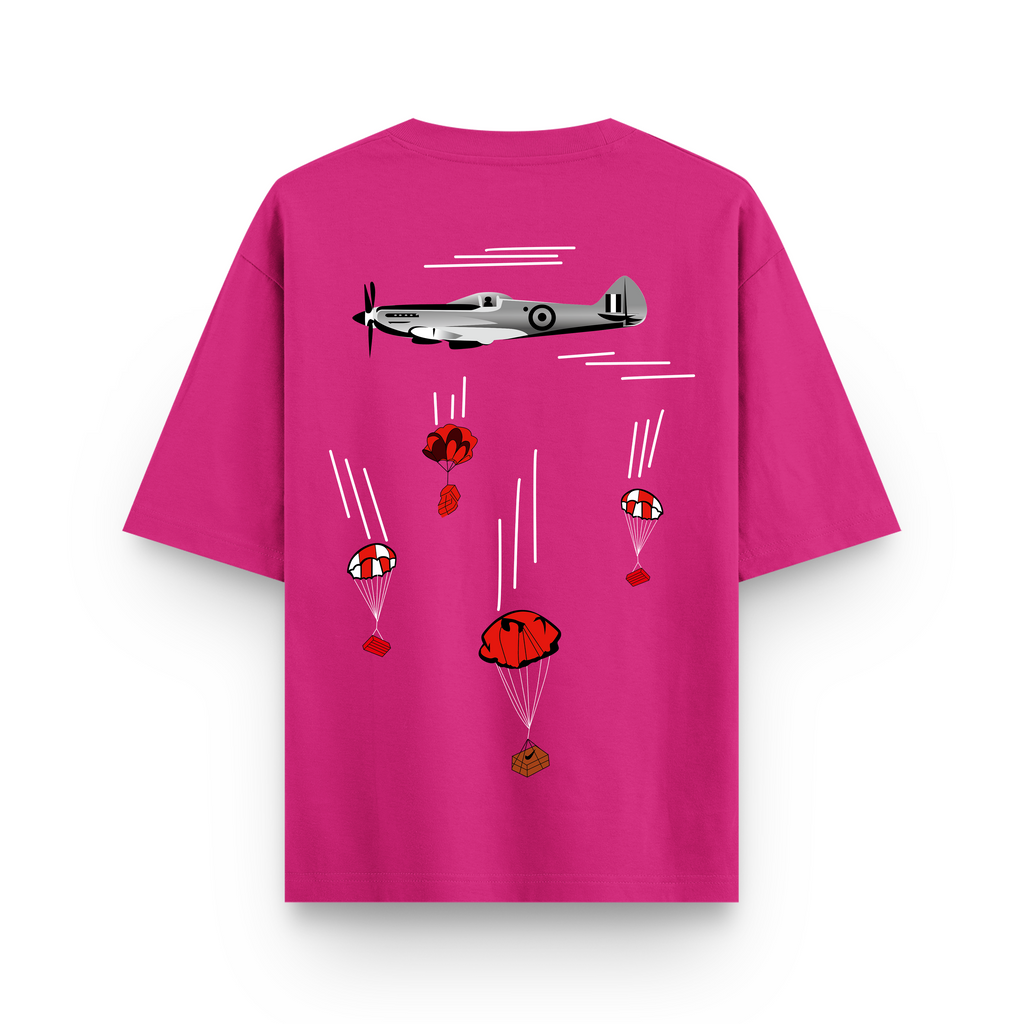 Aircraft Parachute
