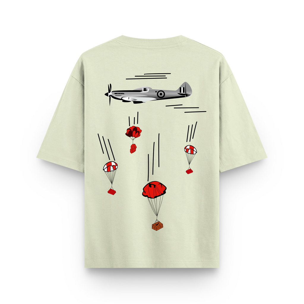 Aircraft Parachute