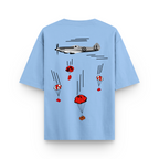 Aircraft Parachute