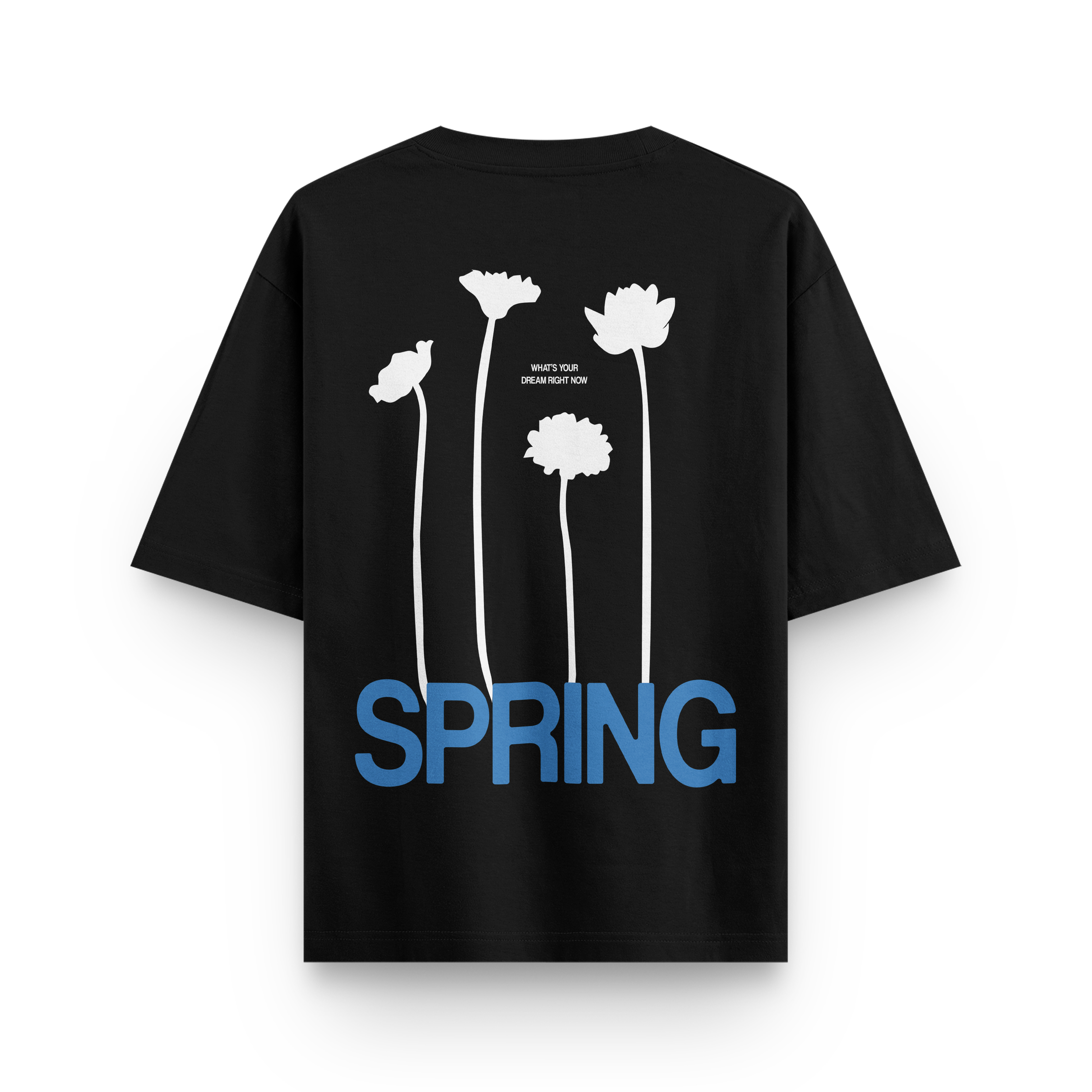 Spring Oversized Tshirt
